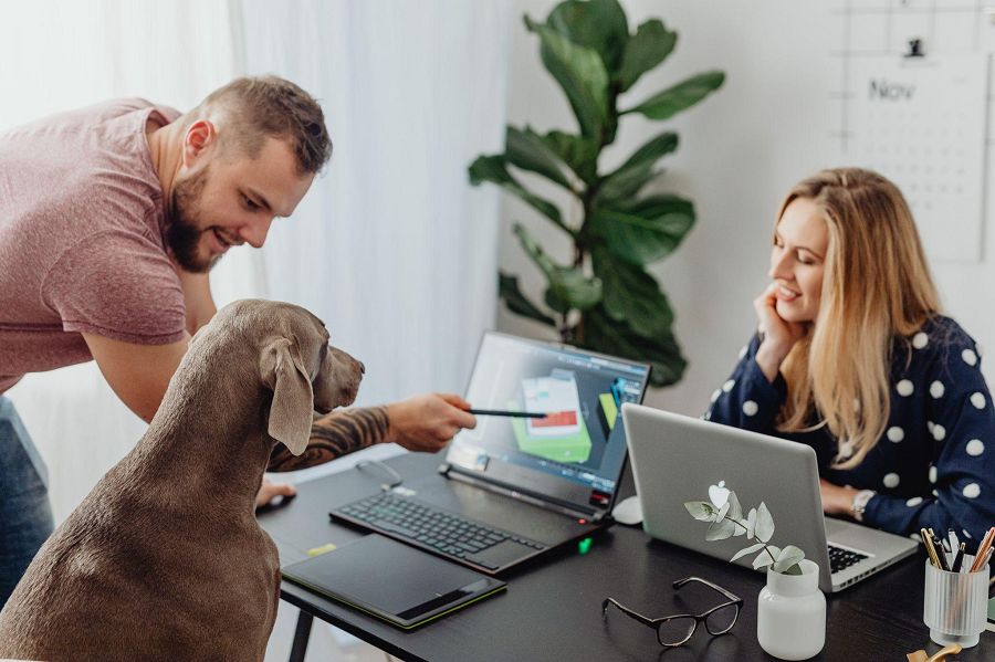 Pet-Friendly Workplace