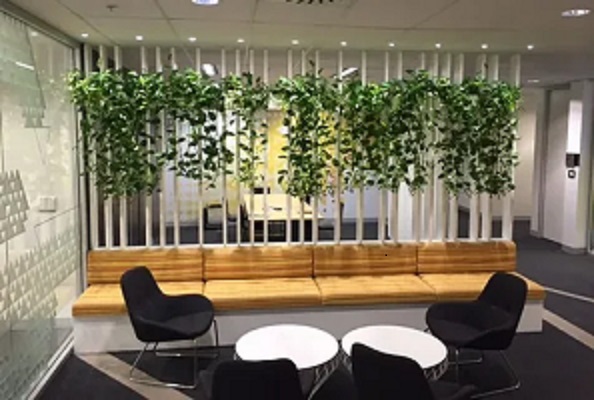Office Indoor Plants