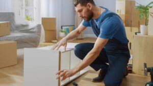 Professional Removalists